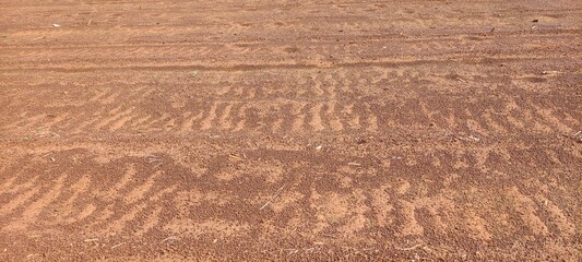 sand dunes on a beach