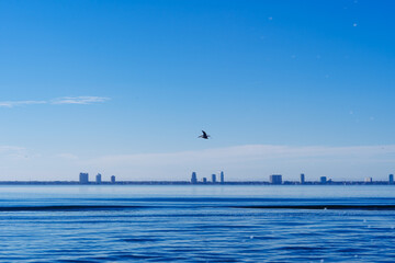 Skyline of city of Tampa and Tampa Bay