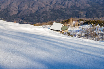 snow covered house