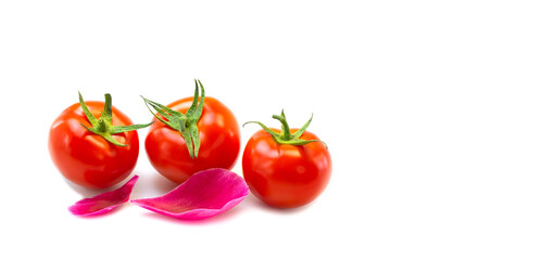 Fresh red tomatoes on a white background. Close-up, design, banner.