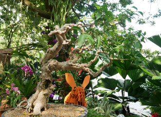 PUTRAJAYA, MALAYSIA -AUGUST 26, 2021: Bonsai trees in the Royal Floria Putrajaya Garden public park, Malaysia. Gardened in pots adapted to the size and design of the bonzai.