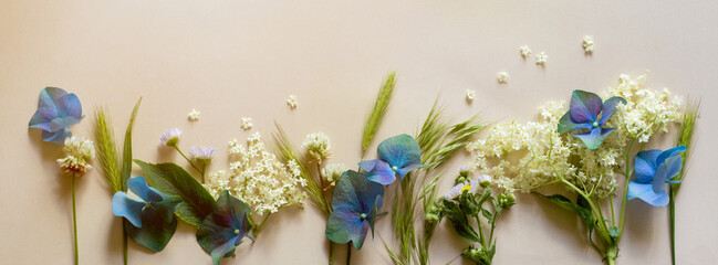 
Summer theme.  On a beige background - wildflowers, herbs, hydrangea flowers, elderberries,
spikelets. 
Rustic style.