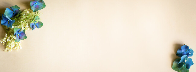 Summer theme.  
Narrow long banner for website, cover for social media page. On a beige background...