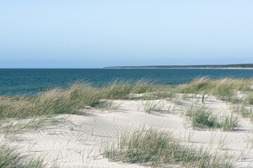 Fototapeta na wymiar Dünenlandschaft an der Ostseeküste