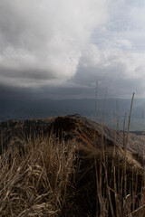 clouds over the field