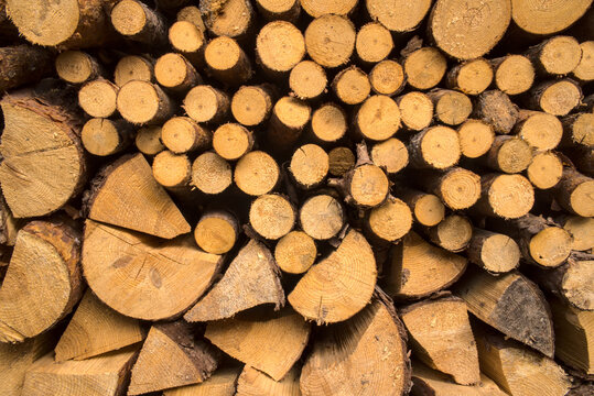 Background with stacked pieces of wood. Dominant yellow dry logs, natural fuel for heating, firewood. Pieces of pine and fir to burn.