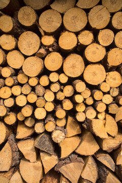 Background with stacked pieces of wood. Dominant yellow dry logs, natural fuel for heating, firewood. Pieces of pine and fir to burn.