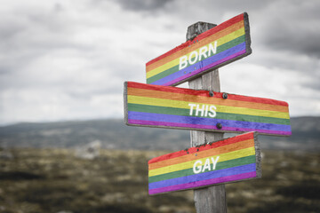 Pride flag on wooden signpost outdoors in nature with the text quote born this gay. Lgbtq and equality concept.