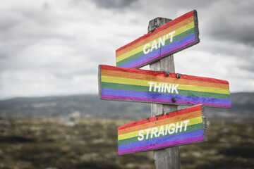 Pride flag on wooden signpost outdoors in nature with the text quote cant think straight. Lgbtq and equality concept. - obrazy, fototapety, plakaty