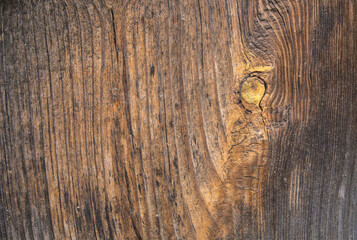 background old gray wood with shabby paint, with gaps between boards, knots. Weathered and faded natural wood with lines of boards, with space for text 