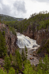 Fototapeta na wymiar Waterfall in the American Landscape. Gibbon Falls in Yellowstone National Park, Wyoming. United States. Nature Background.