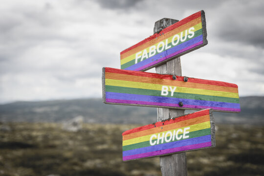 fabolous by choice text quote on wooden signpost crossroad outdoors in nature. Freedom and lgbtq community concept.