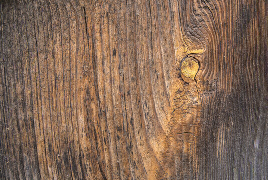 background old gray wood with shabby paint, with gaps between boards, knots. Weathered and faded natural wood with lines of boards, with space for text 