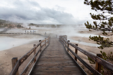 Obraz premium Boardwalk around Hot spring Geyser in American Landscape. Yellowstone National Park, Wyoming, United States. Nature Background.