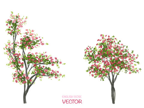 Vector watercolor blooming flower tree or forest side view isolated on white background for landscape and architecture drawing,elements for environment or and garden,botanical element for section 