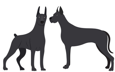 dogs in flat design, isolated vector