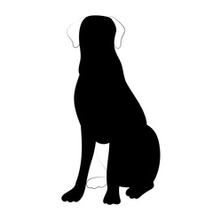 dog sitting silhouette on white background, isolated