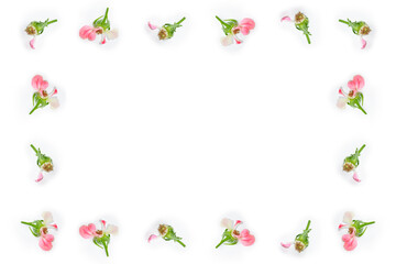 Fototapeta na wymiar Bright colorful flower rose. floral background