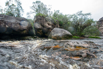 Fototapeta na wymiar Walk through the rain forest. Navigating the river. Venezuelan jungle.