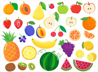 A colorful set of different fruits whole and cut. Vector illustration