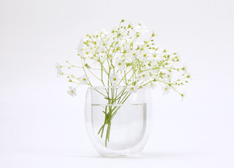 White flower bouquet in glass vase. Minimalist still life. Light and shadow nature horizontal...