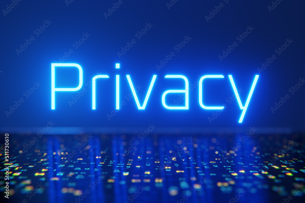 Poster graphic of data privacy day good for data privacy day celebration. flat design. 3d render