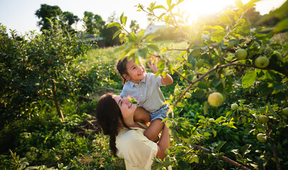 Caucasian mother and her Asian daughter in the apple garden in summer