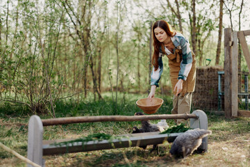 Woman farmer smiles and pours food for the birds at the bird feeder at the chicken farm 