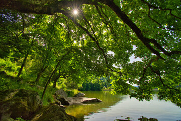 Fototapeta premium Lac de Schiessrothried in den Vogesen