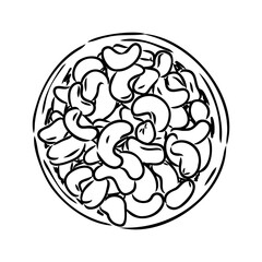 Cashew nut walnut. Cashew hand drawing vector illustration
