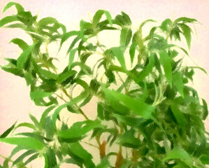 Tiges de bambou avec effet crayons de couleur