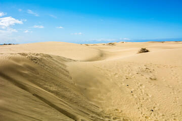 Fototapeta na wymiar Maspalomas sand dunes with blue sky, Gran Canaria, Canary Islands