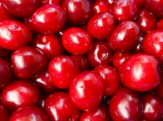 A bunch of red fresh tasty cherries