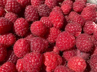A bunch of red fresh tasty raspberries