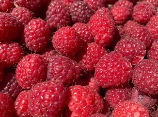 A bunch of red fresh tasty raspberries