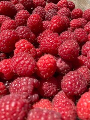 A bunch of red fresh tasty raspberries