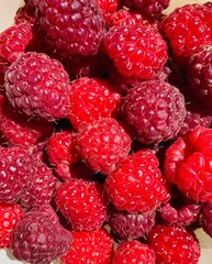 A bunch of red fresh tasty raspberries