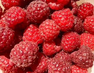 A bunch of red fresh tasty raspberries