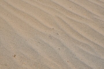 Transverse dunes caused by blowing wing creating wave patterns