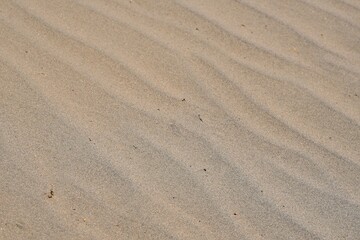 Transverse dunes caused by blowing wing creating wave patterns