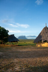 Indigenous dwellings of the Bolivar State. National park Canaima. Pemona houses. Palm roofs. Guayanes Massif.