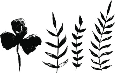 Vector plant brushes. Artistic decorative element