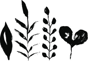 Vector plant brushes. Artistic decorative element
