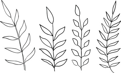 Vector plant brushes. Artistic decorative element