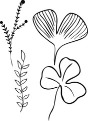 Vector plant brushes. Artistic decorative element