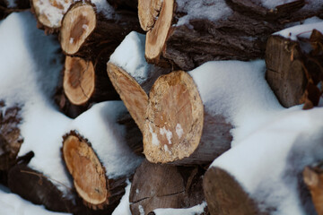 Pile of sawn wood. Close-up of sawn logs of deciduous tree lying in pile on top of each other and covered with white snow. 