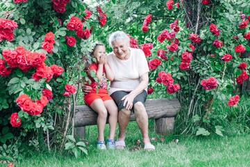 summer vacation with a grandmother in the village, a gray-haired woman embraces and jokes with a child on a bench near the rose bushes in the garden.