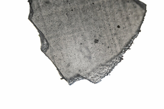 fragment of hybrid ceramic used in dentistry, macro photo using a microscope
