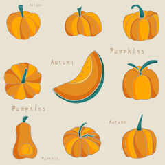 Pumpkin squash for Halloween or Thanksgiving is a flat icon for apps and websites. A set of colored pumpkins for printing on notebooks, covers, textiles, clothes.
