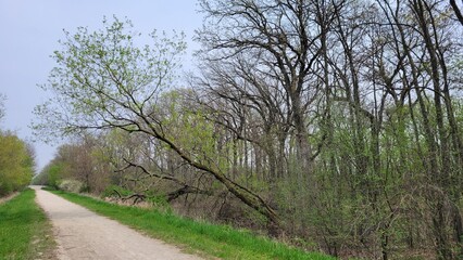 Hiking in nature in Wisconsin, early spring.